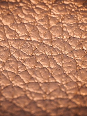 Leather Industry & Artificial Industry Leather Industry & Artificial Industry